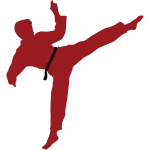 Sidekiq Icon SVG Icon